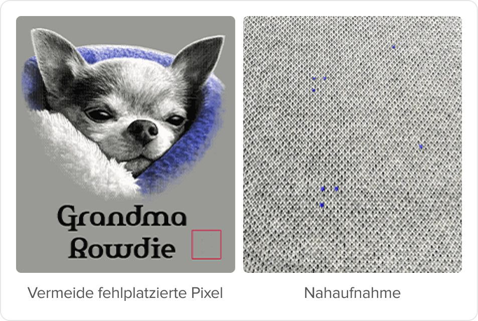 Nahaufnahme eines Hundes