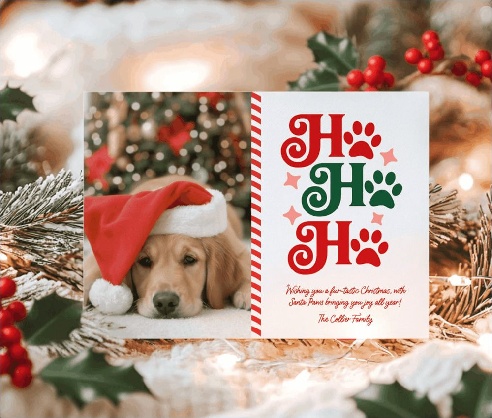 Pet photo Christmas cards