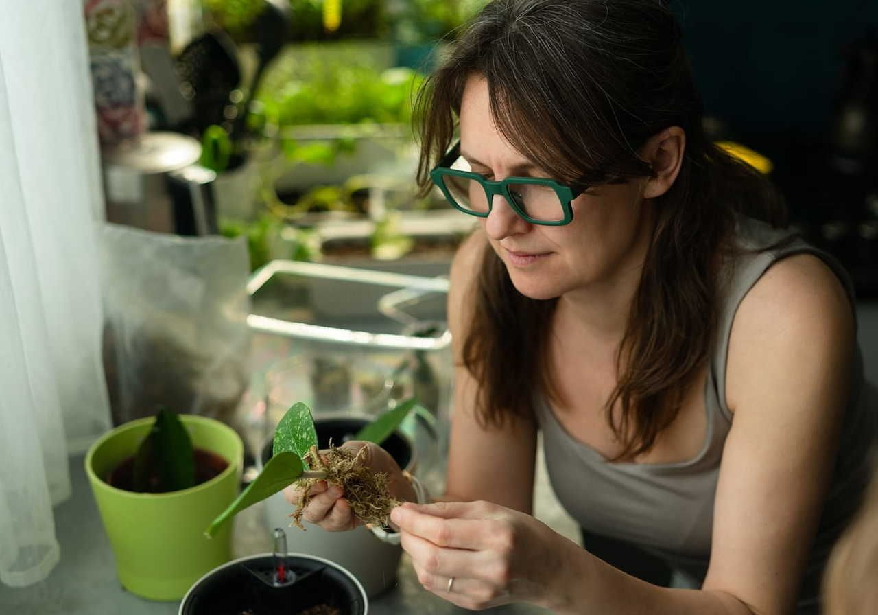 A woman with glasses is examining a small plant cutting in her hand, surrounded by various potted plants on a table.
