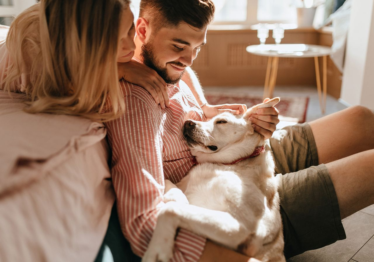 A man and woman sit on a couch, smiling, with a dog resting comfortably between them.