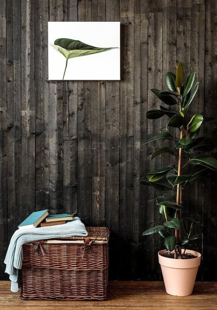 close up of Thin Canvas print