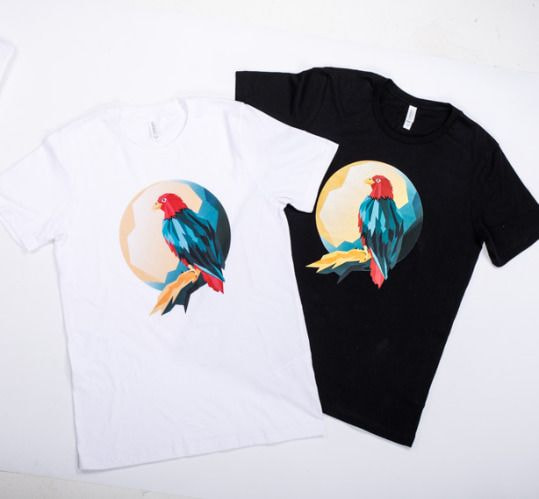 DTG prints on t-shirts