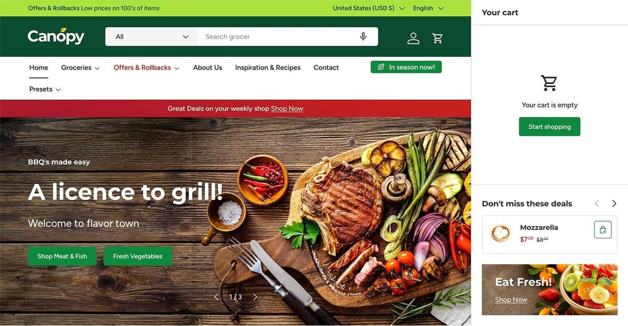 Canopy Shopify theme hero section screenshot as an example of the best Shopify themes for dropshipping.