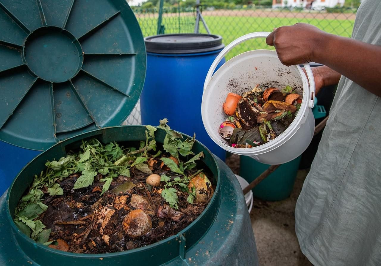 A person adds food scraps like vegetable peels and eggshells into a green compost bin as an example of a sustainable business idea.