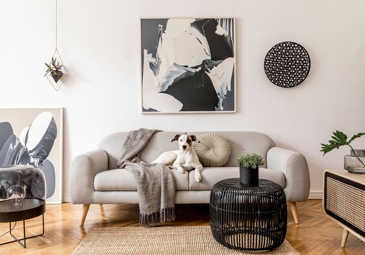 A dog sitting comfortably on a couch in a cozy living room setting.