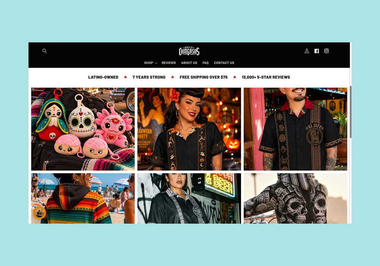 House of Chingasos homepage screenshot mockup.
