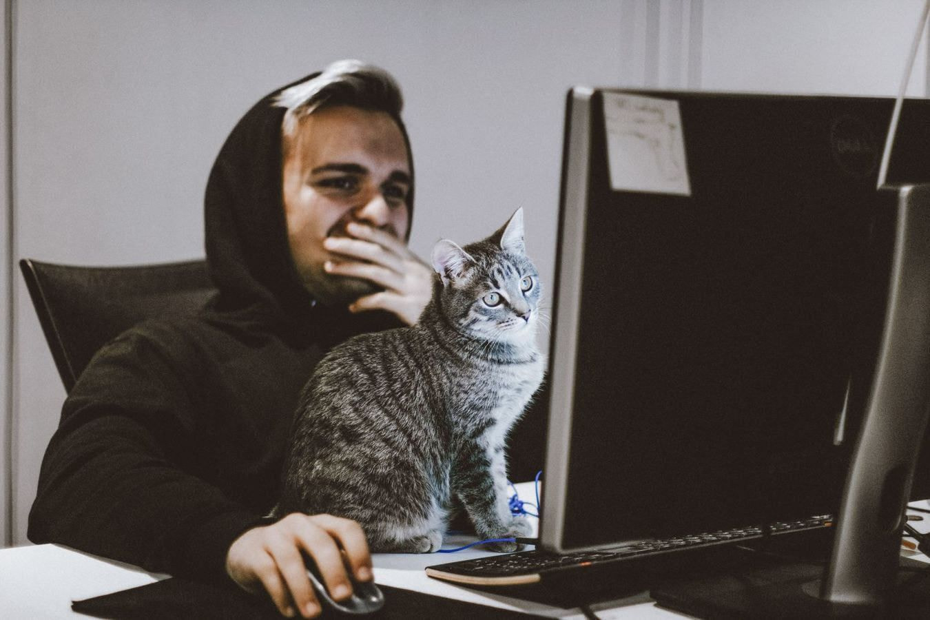 is-print-on-demand-profitable-insights-for-dropshippers-printful