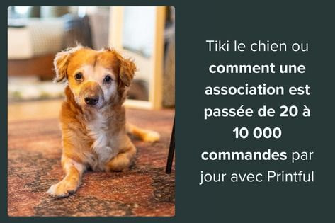 Tiki le chien ou comment une association est passée de 20 à 10 000 commandes par jour