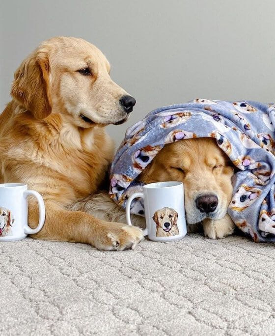 sleeping dogs with custom mugs