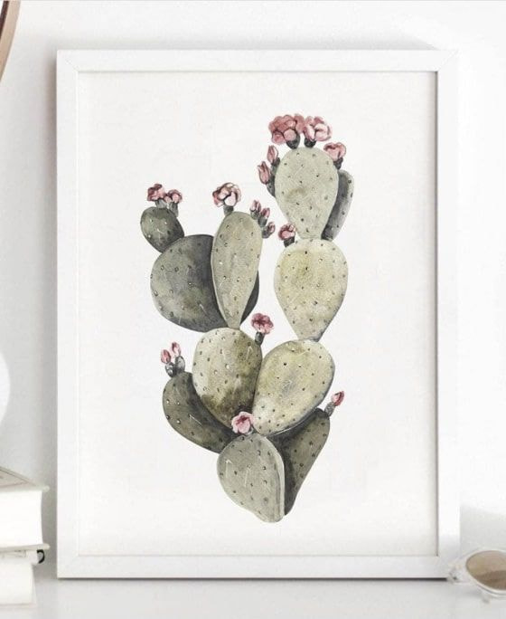 poster encadré cactus