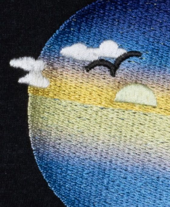 a close-up of a fabric with embroidery on it