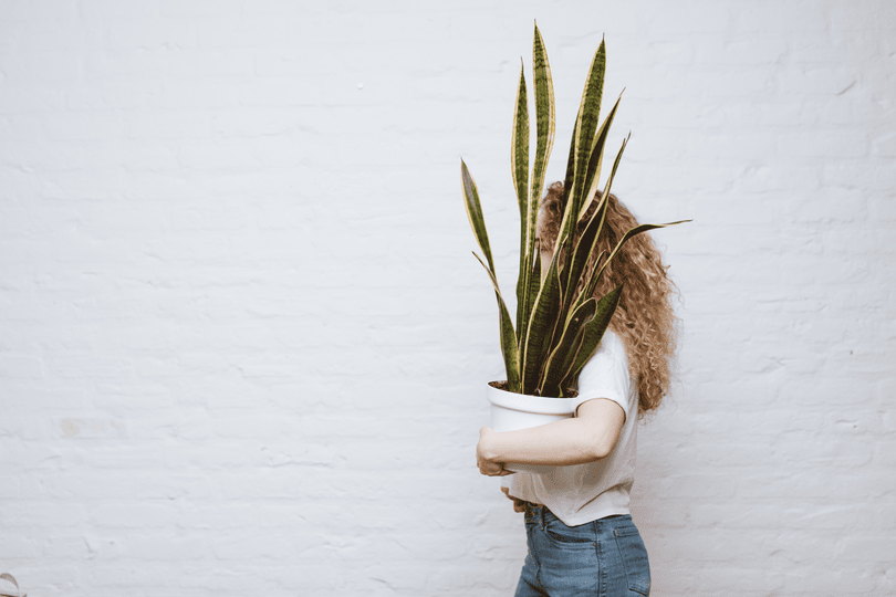 Printful becomes more sustainable: how and what sustainability measures were taken in 2020