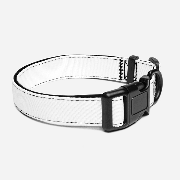 Pet Collar