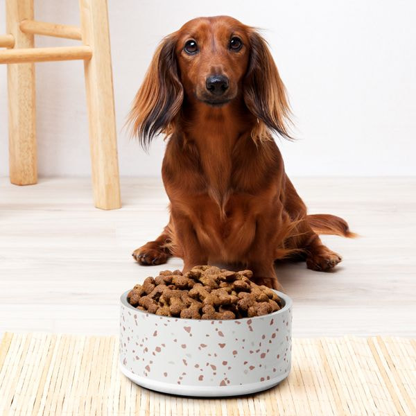 Pet Bowl
