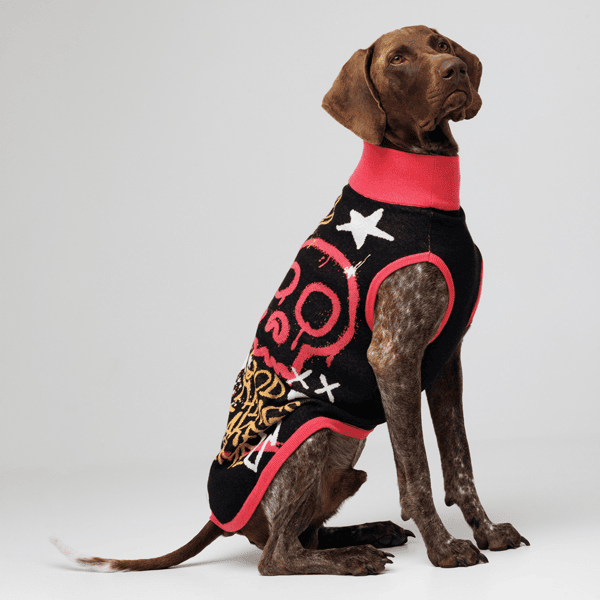 Knitted Pet Sweater