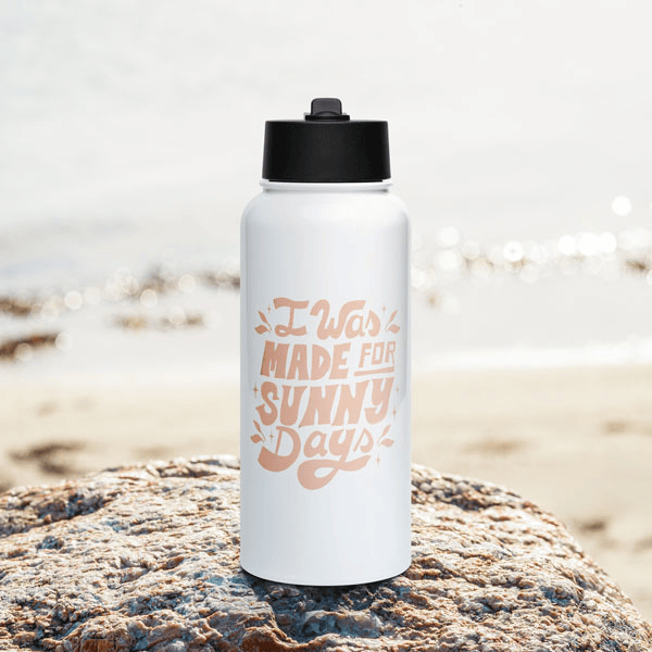 Stainless Steel Water Bottle with a Straw Lid