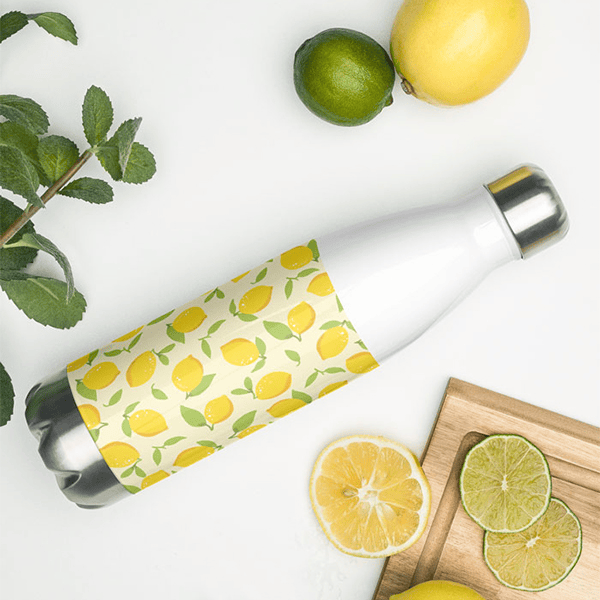Stainless Steel Water Bottle