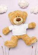 Teddy Bear with a T-shirt thumbnail 2