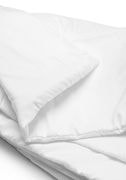 Comforter thumbnail 2