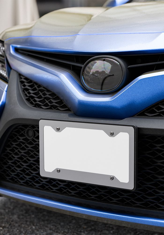 Vanity Plate main 2