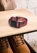Pet Collar thumbnail 4