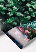 Premium Luster Photo Paper Poster (in) thumbnail 4