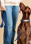 Pet Collar & Leash thumbnail 4