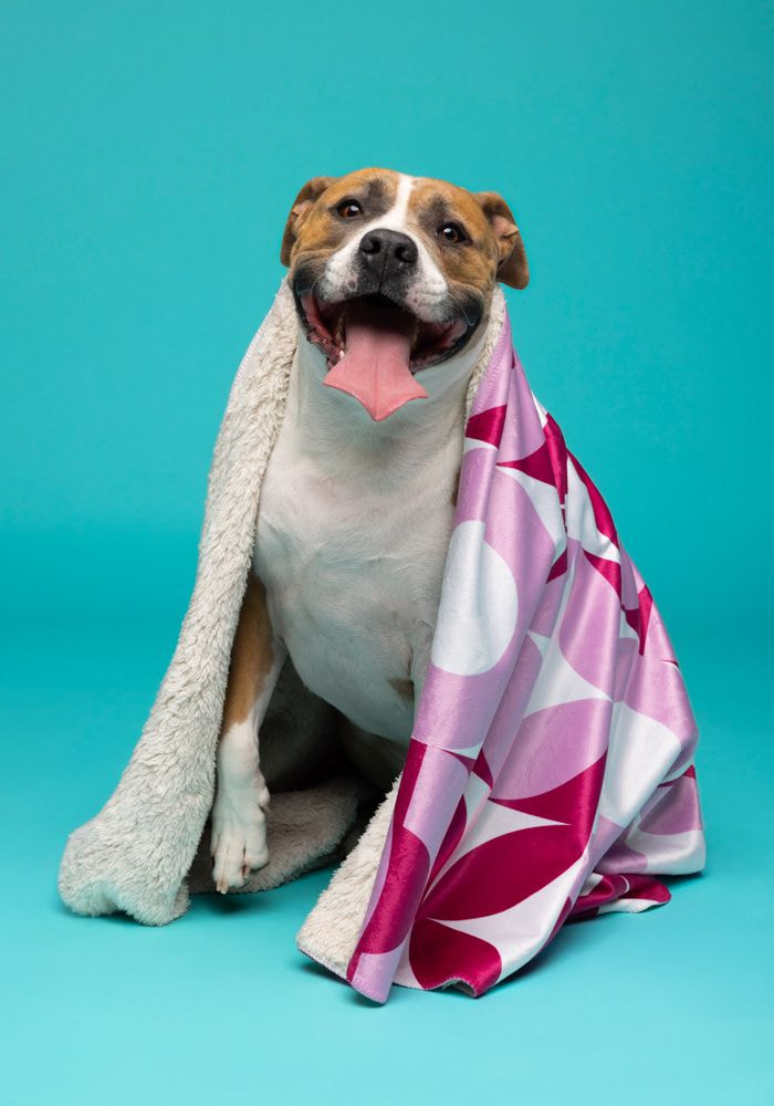 Sublimated Sherpa Blanket main 4