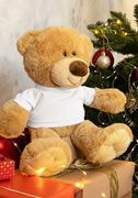 Teddy Bear with a T-shirt thumbnail 3