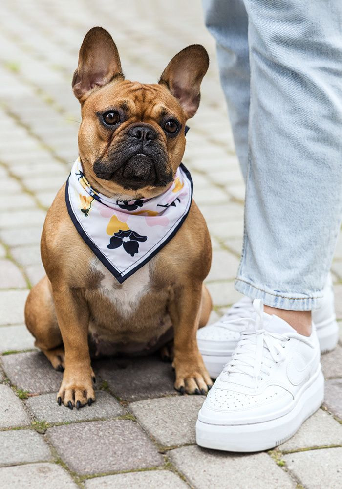 thumbnail image 2 of Dogs Thanks For 2 - Personalized Custom All-over-print T-shirt 2 of 8