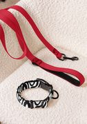 Pet Collar & Leash thumbnail 5