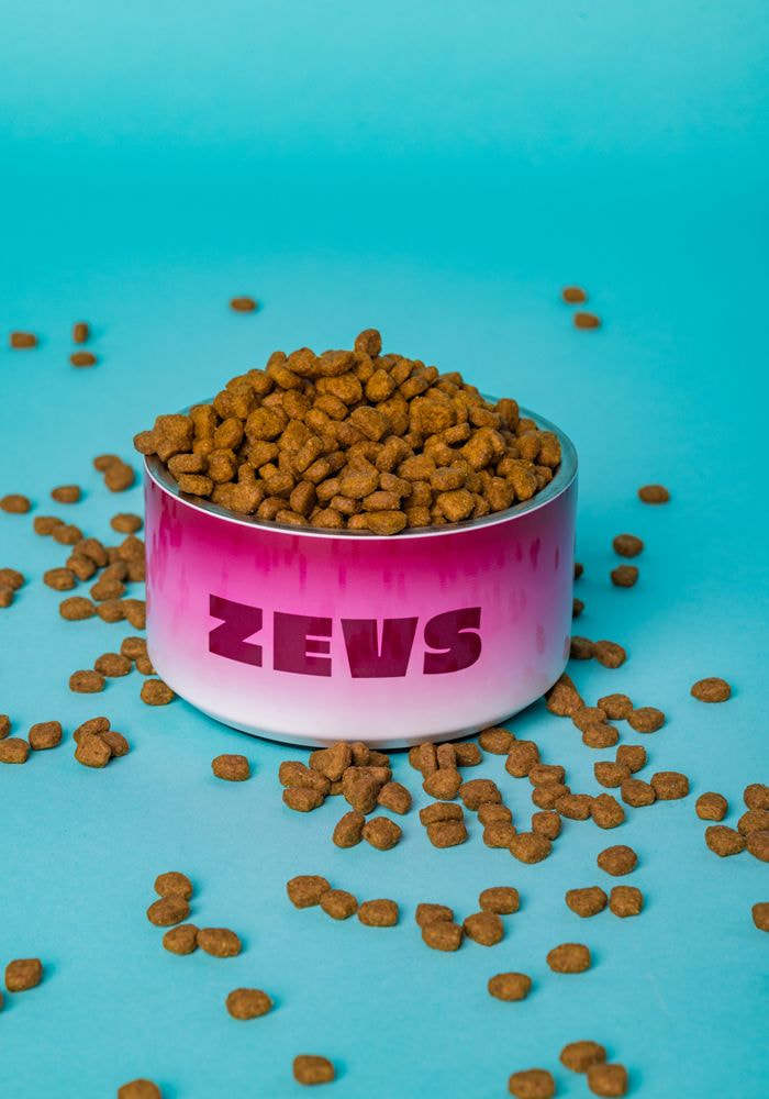 Pet Bowl main 2