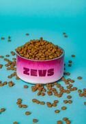 Pet Bowl thumbnail 2