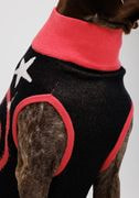 Knitted Pet Sweater thumbnail 2