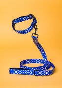 Pet Collar & Leash thumbnail 1