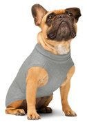 Knitted Pet Sweater thumbnail 4