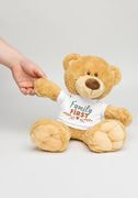 Teddy Bear with a T-shirt thumbnail 5
