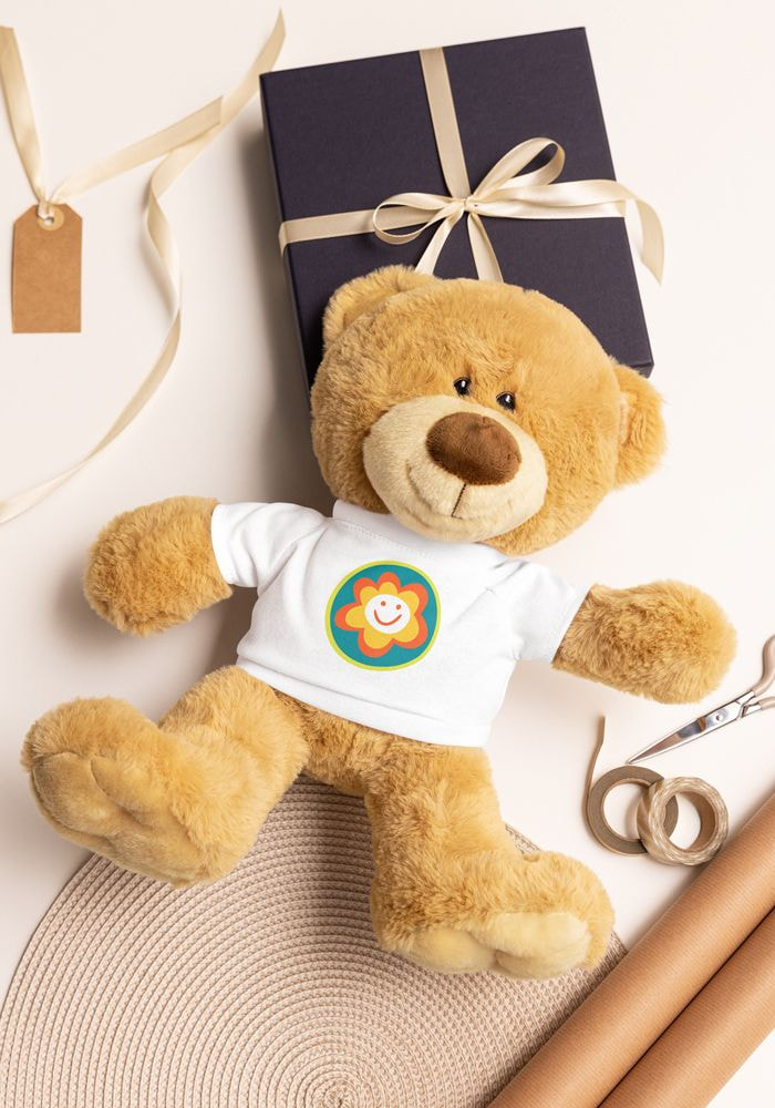 Teddy Bear with a T-shirt main 4
