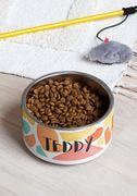 Pet Bowl thumbnail 5