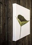 Canvas (in) thumbnail 2