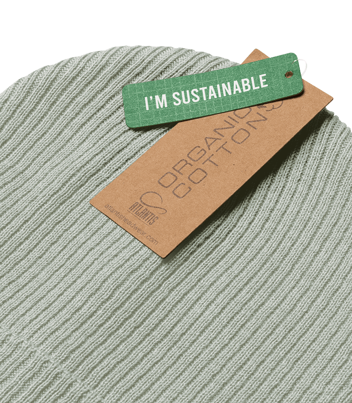 Organic Ribbed Beanie | Atlantis main 4