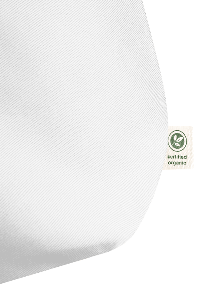 Large Eco Tote | Econscious EC8001 main 5