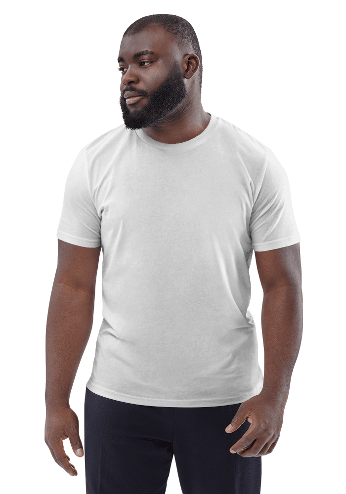 StanleyStella Mens Organic V-Neck T-Shirt