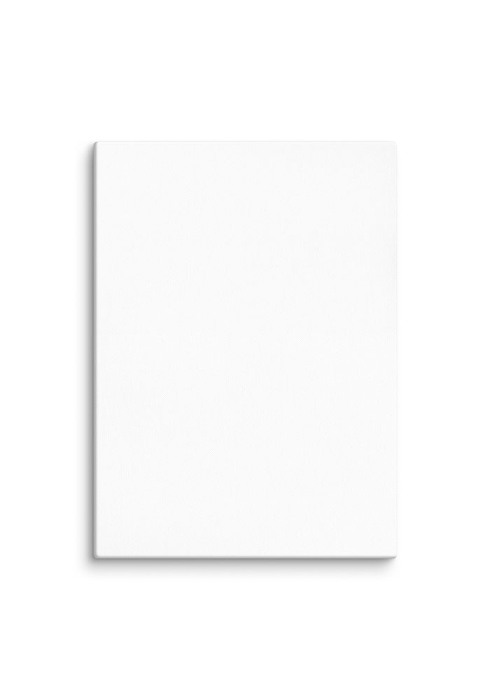 Product Image 40″×55″