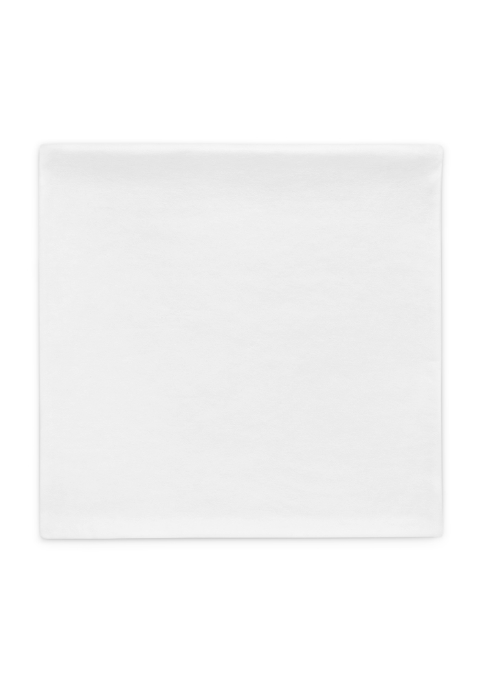 Product Image 22″×22″