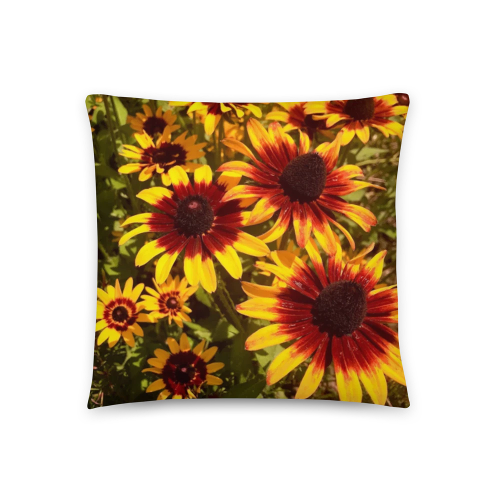 Black-eyed Susans - Pillow